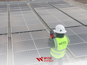 solex inspection wise energy